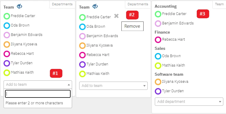 The Team panel