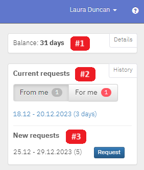 TIMEOFF.GURU - Balance, current requests, new requests